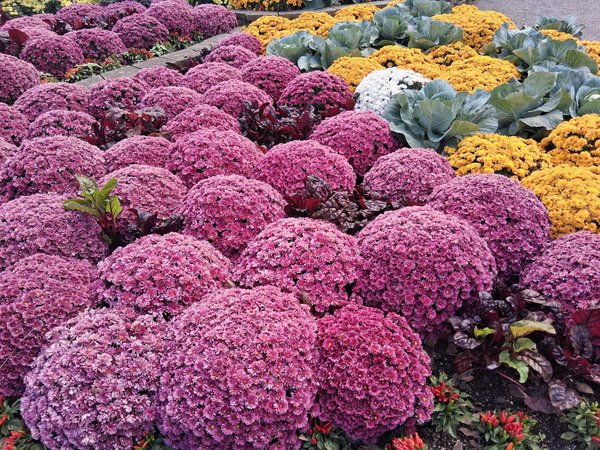 Bien choisir sa porte blindée à strasbourg pour une sécurité optimale
